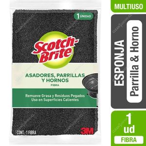 esponja-asadores-y-parrilas-scotch-brite-1-un.jpg