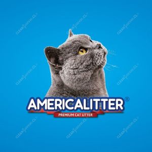 arena-gato-america-litter.jpg