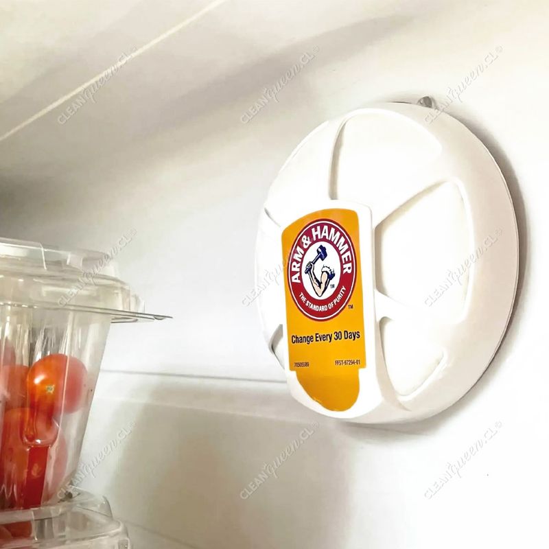 filtro-de-aire-refrigerador-arm-hammer-1-un-1.jpg