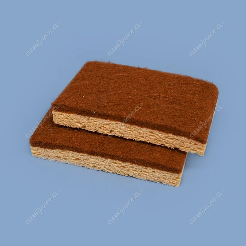 esponja-ecologica-coco-freemet-2-unid-1.jpg
