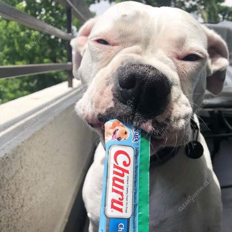 snack-cremoso-churu-perro-2.jpg
