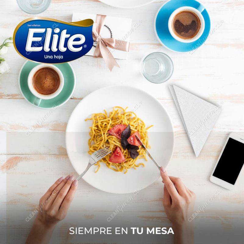 servilleta-elite-1__02.jpg